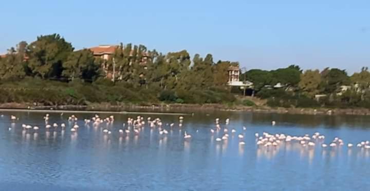 הוילה Sant' Antonio di Santadi Turismo Rurale Pertunghe מראה חיצוני תמונה